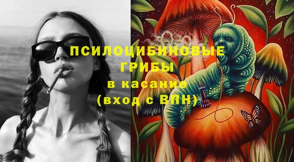 винт Дмитров