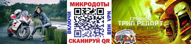 купить наркотики сайты  Рязань  Галлюциногенные грибы MAGIC MUSHROOMS 